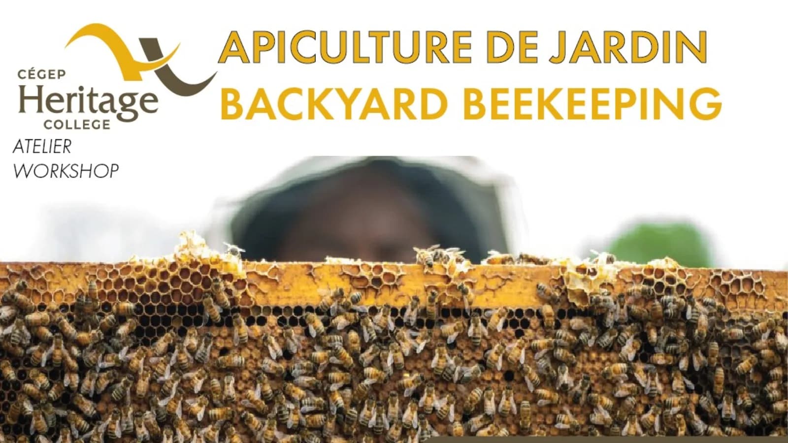 Apiculture de jardin